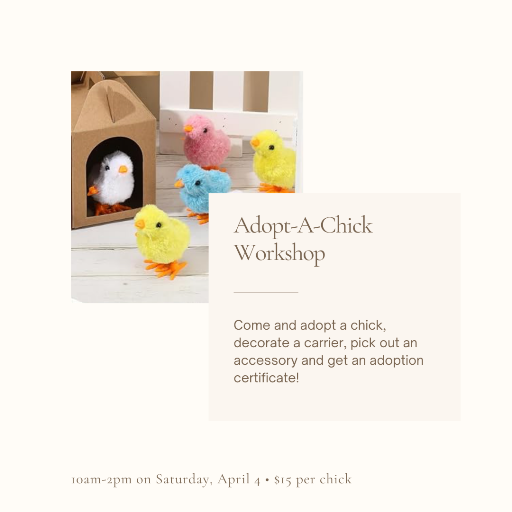 Website Graphics (2)